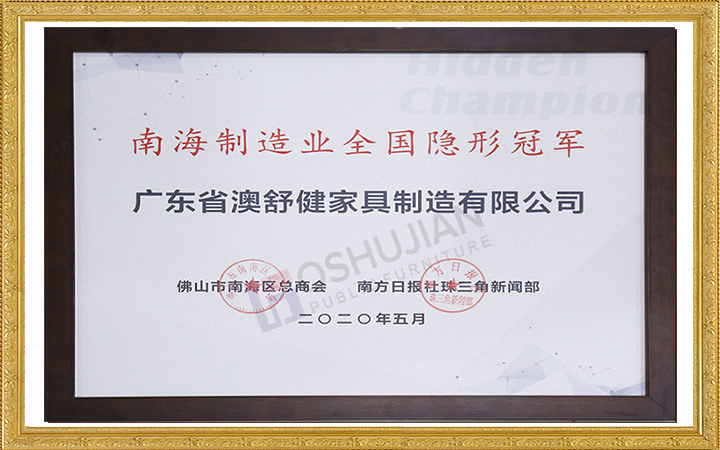 Campeão Nacional Oculto da Indústria de Manufatura de Nanhai